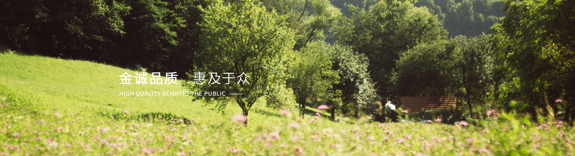 首頁banner3